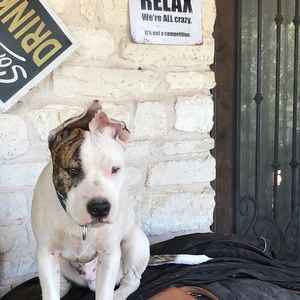 Meet your Posher, Barbara